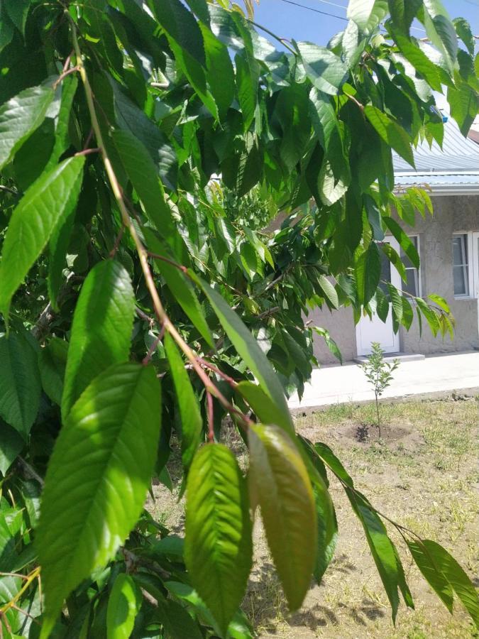 Vanand Guest House Gyumri Exterior photo
